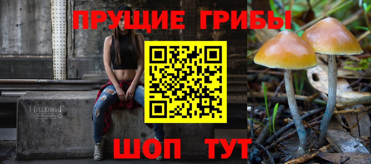 Галлюциногенные грибы Magic Shrooms  Вход с VPN  Псилоцибиновые грибы мицелий  Балашов 
